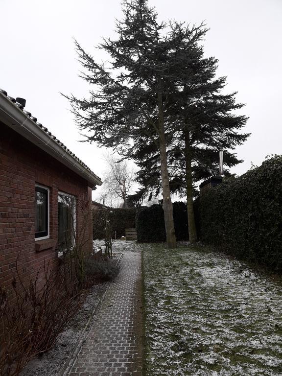 Zomerhuis De Zeedistel Egmond aan den Hoef Luaran gambar